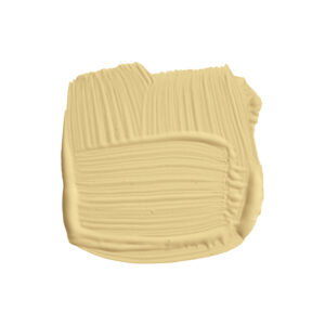 Cord  No. 16 - Échantillon 100ml