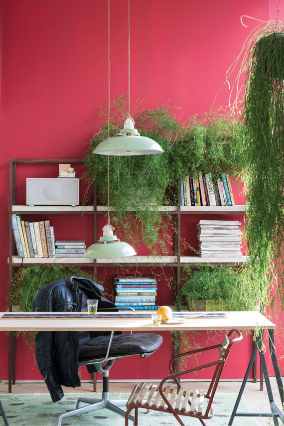 Rectory Red No. 217 - Échantillon 100ml – Image 2