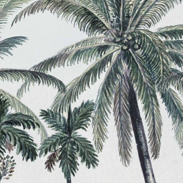 Palm Grove - Image 3