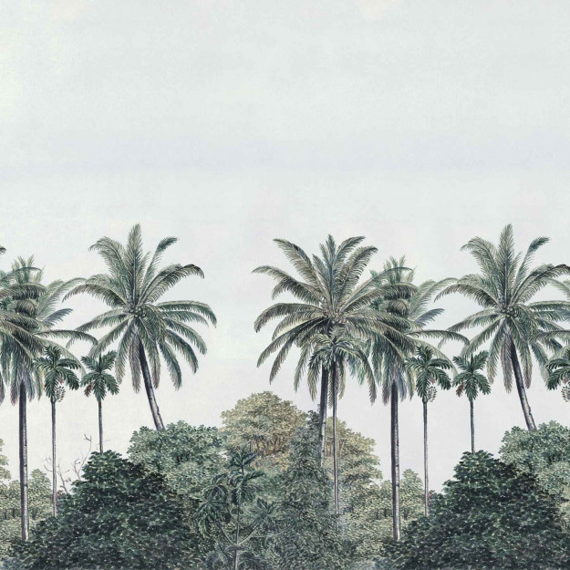 Palm Grove - Image 2